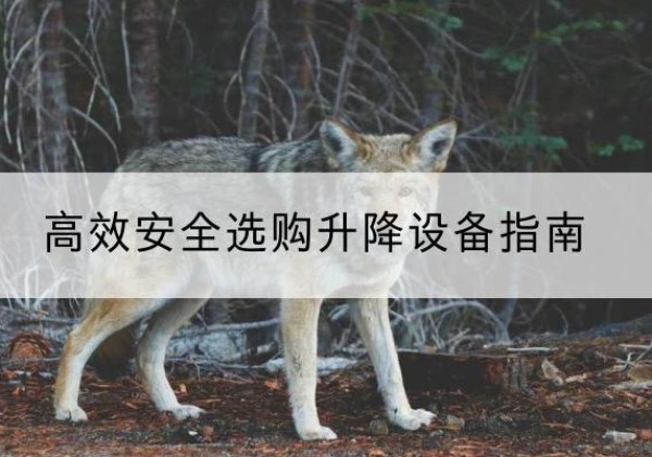 琼中升降货梯厂家推荐-*安全选购升降设备指南