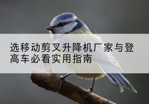 琼中电动升降机厂家-选移动剪叉升降机厂家与登高车必看实用指南